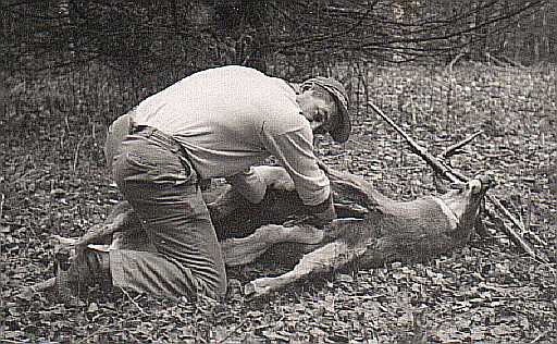 Field dressing Mr. Big Buck