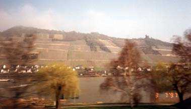Vineyards on The Rhine